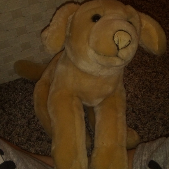 Dog - Picture 2 of 2